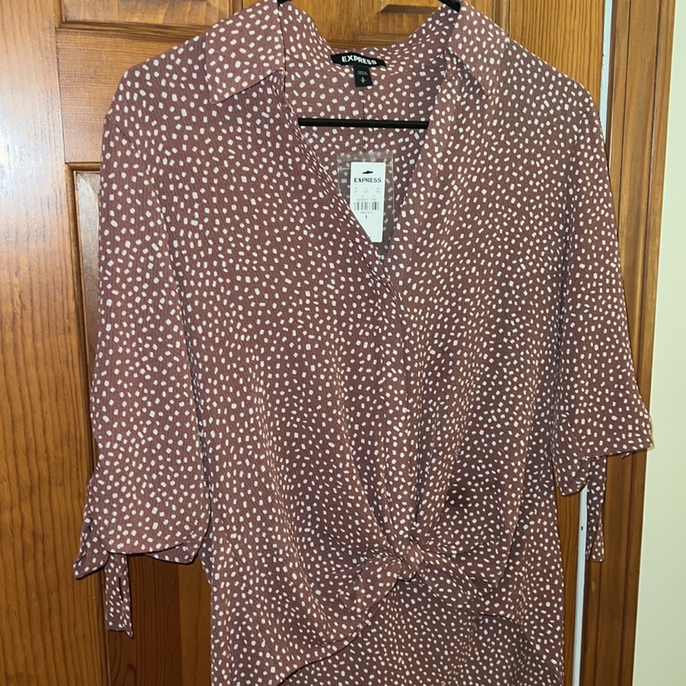 Express Pink Collared Polkadot Blouse